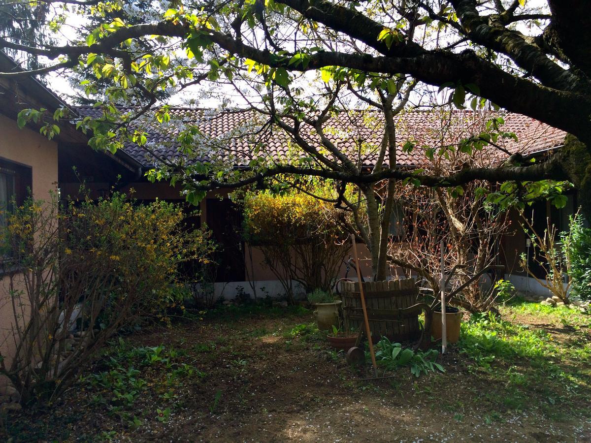 La Ferme de Thoudiere Saint-Étienne-de-Saint-Geoirs Exterior foto